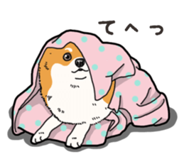 Wanko-Biyori Pomeranian sticker #15138302