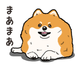 Wanko-Biyori Pomeranian sticker #15138305