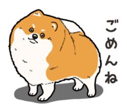 Wanko-Biyori Pomeranian sticker #15138308