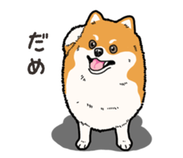 Wanko-Biyori Pomeranian sticker #15138312