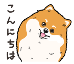 Wanko-Biyori Pomeranian sticker #15138316