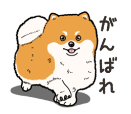 Wanko-Biyori Pomeranian sticker #15138317