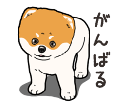 Wanko-Biyori Pomeranian sticker #15138318