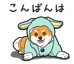 Wanko-Biyori Pomeranian sticker #15138320
