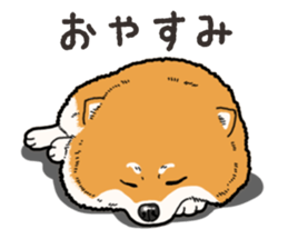 Wanko-Biyori Pomeranian sticker #15138322