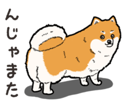 Wanko-Biyori Pomeranian sticker #15138323