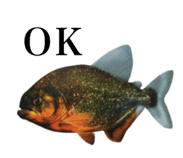 Cute tropical fish sticker sticker #15138972