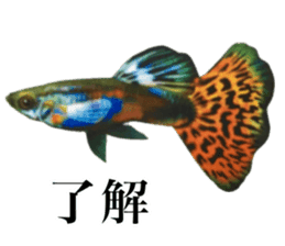 Cute tropical fish sticker sticker #15138973