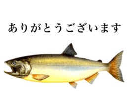 Cute tropical fish sticker sticker #15138975