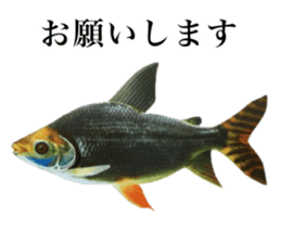 Cute tropical fish sticker sticker #15138977