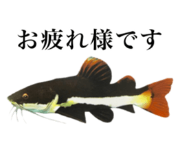 Cute tropical fish sticker sticker #15138980