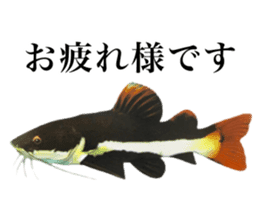 Cute tropical fish sticker sticker #15138980