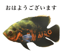 Cute tropical fish sticker sticker #15138981