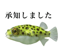 Cute tropical fish sticker sticker #15138983