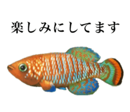 Cute tropical fish sticker sticker #15138985