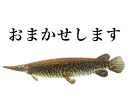 Cute tropical fish sticker sticker #15138986