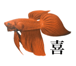 Cute tropical fish sticker sticker #15138989