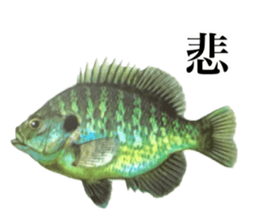 Cute tropical fish sticker sticker #15138990