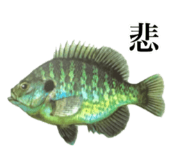 Cute tropical fish sticker sticker #15138990