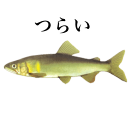 Cute tropical fish sticker sticker #15138996