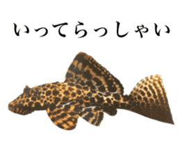 Cute tropical fish sticker sticker #15139002