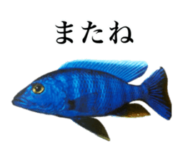 Cute tropical fish sticker sticker #15139003