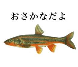 Cute tropical fish sticker sticker #15139004