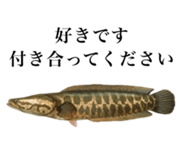 Cute tropical fish sticker sticker #15139006