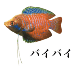 Cute tropical fish sticker sticker #15139011