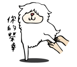 Nima Nimama sticker #15139589