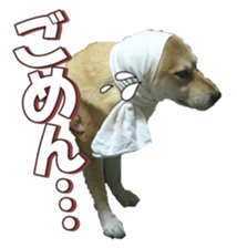 shibainufan 2 sticker #15140456