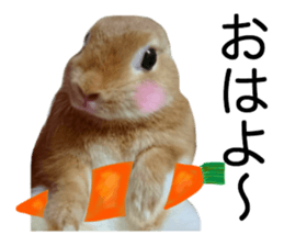 USAKO THE RABBIT Photo2 sticker #15140692