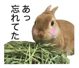 USAKO THE RABBIT Photo2 sticker #15140698