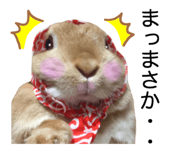 USAKO THE RABBIT Photo2 sticker #15140699