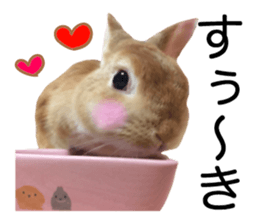 USAKO THE RABBIT Photo2 sticker #15140700