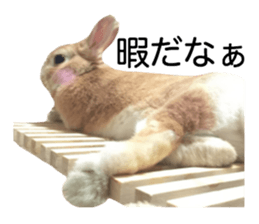 USAKO THE RABBIT Photo2 sticker #15140701