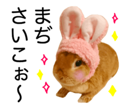 USAKO THE RABBIT Photo2 sticker #15140703