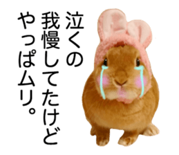 USAKO THE RABBIT Photo2 sticker #15140705