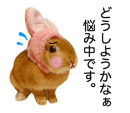 USAKO THE RABBIT Photo2 sticker #15140707