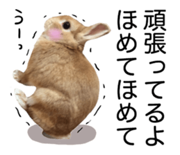 USAKO THE RABBIT Photo2 sticker #15140715