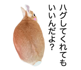 USAKO THE RABBIT Photo2 sticker #15140716