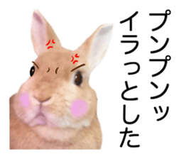 USAKO THE RABBIT Photo2 sticker #15140717