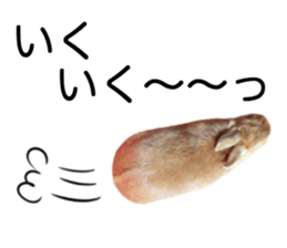 USAKO THE RABBIT Photo2 sticker #15140719