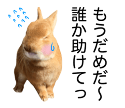 USAKO THE RABBIT Photo2 sticker #15140720