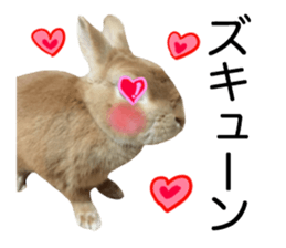 USAKO THE RABBIT Photo2 sticker #15140721