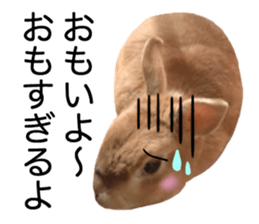 USAKO THE RABBIT Photo2 sticker #15140723