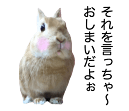 USAKO THE RABBIT Photo2 sticker #15140726