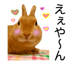 USAKO THE RABBIT Photo2 sticker #15140729