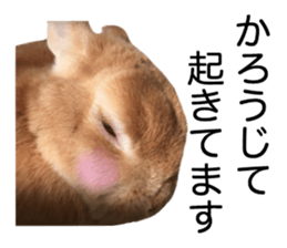 USAKO THE RABBIT Photo2 sticker #15140730