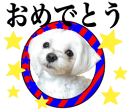 Cute Maltese family sticker #15141872